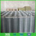 High quality Building galvanized Welded Wire Mesh supplier